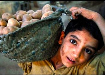 بچوں کے حقوق اور ہم سب  … تحریر :سید عمران علی شاہ