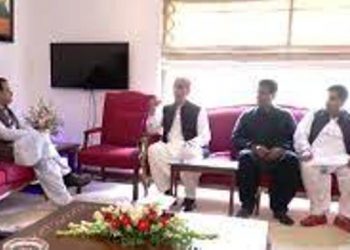 لاہور ۔ انیل مسرت کی وزیر اعلی عثمان بزدار سے ملاقات ، ہر ڈویژ ن میں ہسپتال بنانے کا اعلان