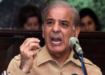 زلزلہ زدگان کے پیسے کھانا، مردار کھانا سمجھتا ہوں: شہباز شریف