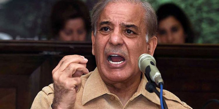 زلزلہ زدگان کے پیسے کھانا، مردار کھانا سمجھتا ہوں: شہباز شریف