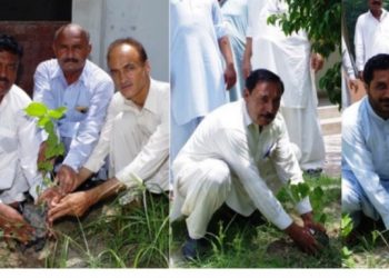 لیہ ۔ کلین اینڈ گرین پنجاب مہم کے سلسلہ میں ڈسٹرکٹ پریس کلب میں شجرکاری