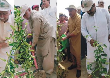 لیہ ۔ فاریسٹ پارک چوک اعظم میں پلانٹ فار پاکستان ڈے کی  تقریب