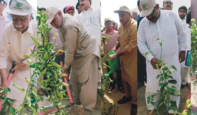 لیہ ۔ فاریسٹ پارک چوک اعظم میں پلانٹ فار پاکستان ڈے کی  تقریب