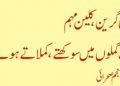 فیس بکی گرین کلین مہم اورخشک گملوں میں سو کھتے ، کملاتے ہو ئے پو دے ..  انجم صحرائی