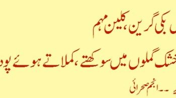 فیس بکی گرین کلین مہم اورخشک گملوں میں سو کھتے ، کملاتے ہو ئے پو دے ..  انجم صحرائی
