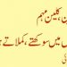فیس بکی گرین کلین مہم اورخشک گملوں میں سو کھتے ، کملاتے ہو ئے پو دے ..  انجم صحرائی