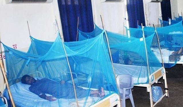 ملک بھر میں ڈینگی کی وبا؛ 10 ہزار مریضوں میں وائرس کی تصدیق