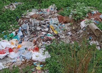 لیہ ۔ہاءوسنگ کا لونی 2 سمیت شہرکے گلی محلوں میں گندگی اور کوڑا کرکٹ کی ابتر صورت حال ، ذمہ دار کون ؟