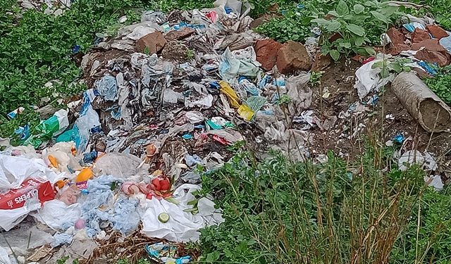 لیہ ۔ہاءوسنگ کا لونی 2 سمیت شہرکے گلی محلوں میں گندگی اور کوڑا کرکٹ کی ابتر صورت حال ، ذمہ دار کون ؟