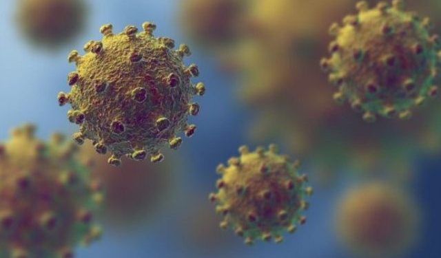 پاکستانی رویے  اور کرونا وائرس ..  از تحریر  , ابوذر منجوٹھہ