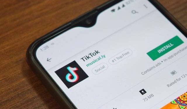 ٹک ٹاک پر پابندی؛ پی ٹی اے کو جواب داخل کرانے کی مزید مہلت مل گئی