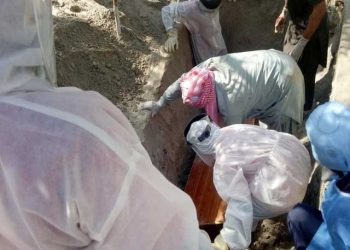 ملک میں کورونا کے مزید 8 مریض جاں بحق،7481 مصدقہ متاثرین