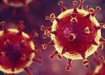 لیہ ۔ کرونا وائریس مقامی ٹرانسمیشن کا پہلا مبینہ کیس سامنے آ گیا