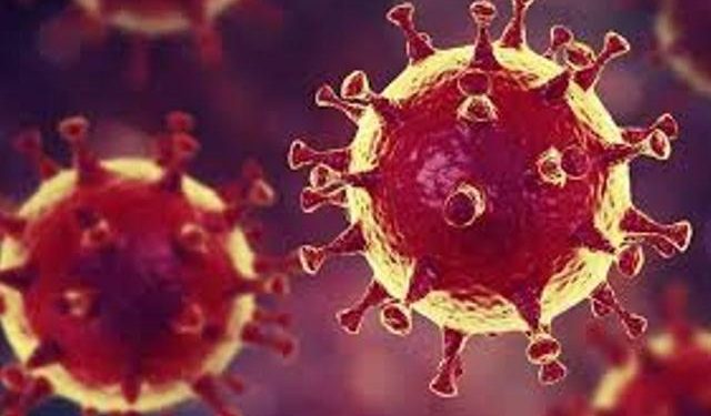 لیہ ۔ کرونا وائریس مقامی ٹرانسمیشن کا پہلا مبینہ کیس سامنے آ گیا