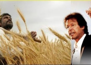 گندم بحران کے ذمہ دار کون، ایف آئی اے رپورٹ میں اہم انکشافات