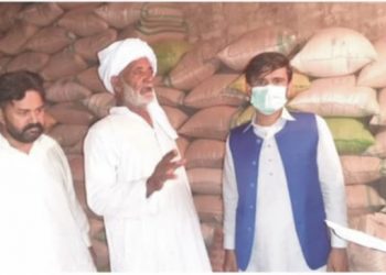 کروڑ لعل عییسن میں غیر قانونی طور پر سٹاک کی گئی18ہزار 200بوری گندم برآمد