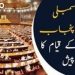 ملتان ۔صوبہ جنوبی پنجاب کے قیام کیلیے عیدالفطر کے بعد احتجاجی تحریک چلانے کا اعلان