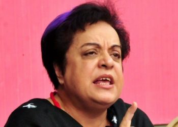 دفتر خارجہ اور اداروں نے وزیراعظم اور کشمیریوں کو مایوس کیا، شیریں مزاری