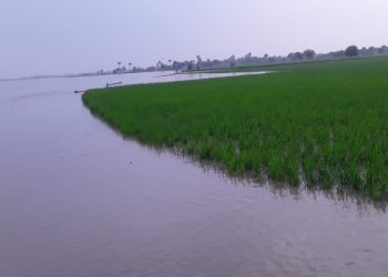 لیہ .دریائے سندھ میں درمیانے درجے کا سیلاب .  علاقہ مکین اپنی مدد آپ کے تحت نقل مکانی پر مجبور