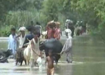 لیہ ۔ نشیبی علاقہ زیر آب , خوراک چارہ کی شدید قلت برسوں سے رہائش پذیر خاندان ہجرت کرنے پر مجبور
