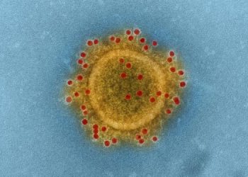 شیخ زید ہسپتال کے 9 ڈاکٹرز کورونا وائرس کا شکار ہو گئے