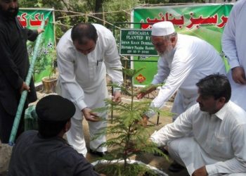 وزیراعظم کا بلین ٹری منصوبے کی مکمل تفصیلات سپریم کورٹ کو فراہم کرنے کا حکم