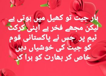 پا کستانی کرکٹ ٹیم ،ہمیں تم پر فخر ہے ..انجم صحرائی