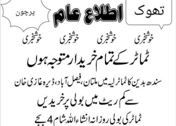 ٹماٹر کے خریدار متوجہ ہوں