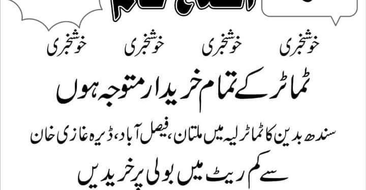 ٹماٹر کے خریدار متوجہ ہوں