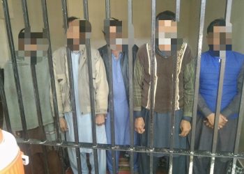 تھانہ چوک اعظم پولیس جرائم پیشہ عناصر کے خلاف ان ایکشن ، متعدد ملزمان گرفتار