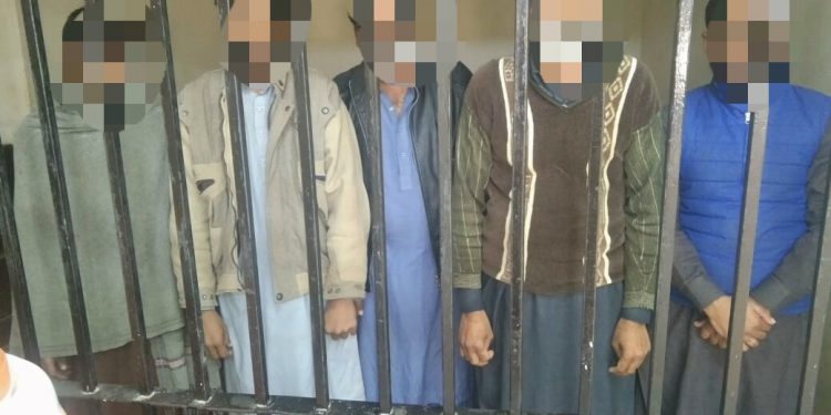 تھانہ چوک اعظم پولیس جرائم پیشہ عناصر کے خلاف ان ایکشن ، متعدد ملزمان گرفتار