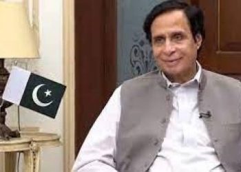 شہباز شریف الیکشن سے فرار کی تلاش میں ہیں۔چوہدری پرویز الہٰی