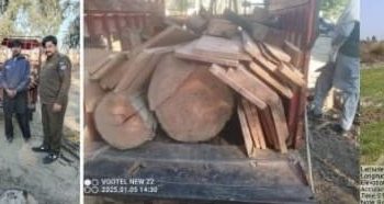 ڈیرہ غازیخان ۔ غیر قانونی قابضین اور ٹمبر مافیاکے خلاف آپریشن ، ملزم گرفتار ، 115 ایکڑ سرکاری رقبہ واگزار ۔ ناظم جنگلات محمد طارق نسیم