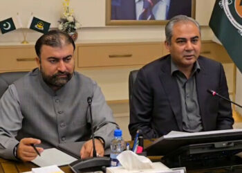 فتنہ الہندوستان کے دہشت گردوں کا انجام عبرت ناک موت ہے، محسن نقوی