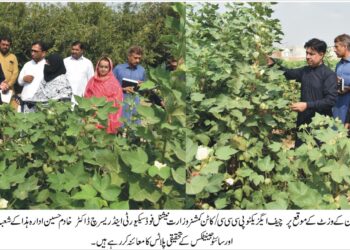 نان بی ٹی کپاس کی تحقیق میں تیزی اور میکانائزڈ فارمنگ وقت کی اہم ضرورت ہے، ڈاکٹر خادم حسین