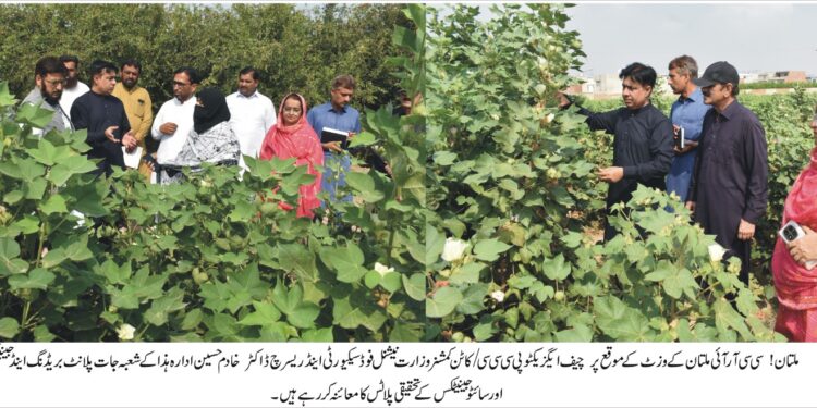 نان بی ٹی کپاس کی تحقیق میں تیزی اور میکانائزڈ فارمنگ وقت کی اہم ضرورت ہے، ڈاکٹر خادم حسین