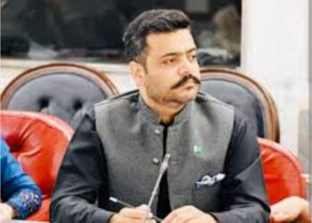 لیہ سے تحریک انصاف کے دو ممبران قومی اسمبلی بھی قائمہ کمیٹیوں سے مستعفی ہو گئے