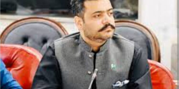 لیہ سے تحریک انصاف کے دو ممبران قومی اسمبلی بھی قائمہ کمیٹیوں سے مستعفی ہو گئے