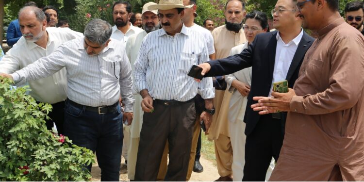 چین پاکستان کا مشترکہ زرعی تحقیقی پروگرام پر اتفاق ،چاءینیز اکیڈمی آف ایگرکلچرل آف سا ءینسز کے وفد کا دورہ ملتان