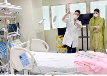 وزیراعلیٰ مریم نواز شریف کا دورہ جاپان ، سرمایہ کاروں کو پنجاب سپیشل اکنامک زونز میں سرمایہ کار ی کی دعوت