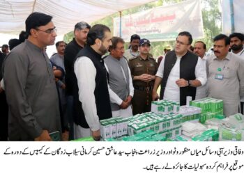 جنوبی پنجاب میں سیلاب سے متاثرہ ریسکو ، ریلیف ، فصلوں کے نقصانات جاری , بہاولپور ڈویژن سب سے زیادہ متاثرہ قرار