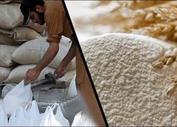 آٹے کی قلت: پنجاب میں دفعہ 144 نافذ، فیڈ ملز میں گندم کے استعمال پر پابندی عائد