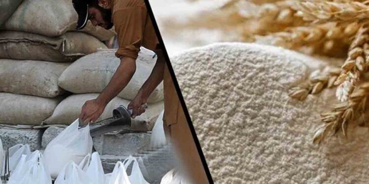 آٹے کی قلت: پنجاب میں دفعہ 144 نافذ، فیڈ ملز میں گندم کے استعمال پر پابندی عائد