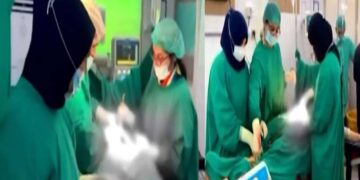 وزیراعلی مریم نواز شریف کی ہدایت پرلیڈی ولنگڈن ہسپتال میں مبینہ ویڈیو پر محکمہ صحت کا بڑا ایکشن ذمہ دارسینئر انتظامی افسران کو شوکاز نوٹس جاری