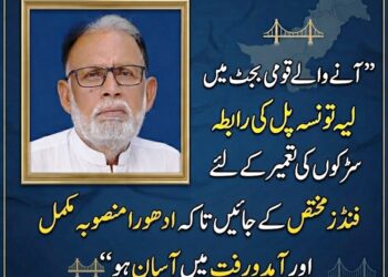 لیّہ , حکومت آنے والے وفاقی بجٹ میں   لیّہ تونسہ پل کی رابطہ سڑکوں کی تعمیر کے لئےفنڈز مختص  کرے  ،انجم صحرائی