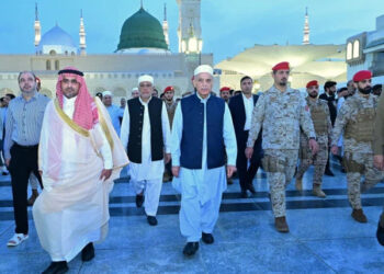 وزیرِ اعظم  کی مدینہ منورہ میں مسجد النبوی میں حاضری ،ملک و قوم کی ترقی سمیت دنیا بھر میں امن و امان کے لیے دعائیں