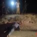 نامعلوم افراد کی فائرنگ سے سول کورٹس کروڑ کے ملازم اور مایہ ناز سپورٹس مین رانا مختیار عرف رانا نوشی قتل ,شہر بھر کی فضا کو سوگوار