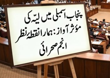 پنجاب اسمبلی میں لیّہ کی مؤثر آواز: ہمارا نقطۂ نظر !  انجم صحرائی