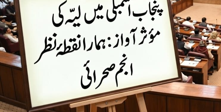 پنجاب اسمبلی میں لیّہ کی مؤثر آواز: ہمارا نقطۂ نظر !  انجم صحرائی